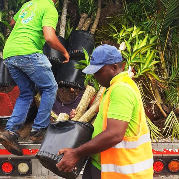 Todo tipo de mercancías